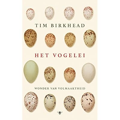 Het vogelei