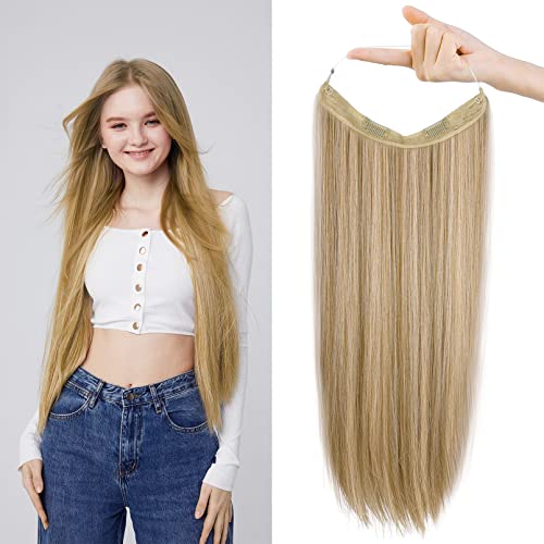 REECHO Invisible Wire Hair Extensions with Transparent Headband Adjustable Size Removable Secure Clips in Straight Secret Hairpiece for Women (24 Inch (Pack of 1), Honey Bronde)