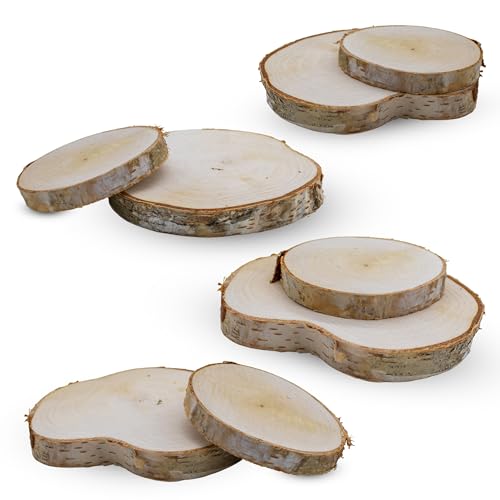 Echtholz Birken Astscheibe 7-12 cm natur - 8er Pack - Birkenholz Baumscheibe zum Basteln und Dekorieren - Holzscheibe Birkenscheibe Naturholz Scheibe H&ouml;lzerne Hochzeit Tischschild Holz Deko