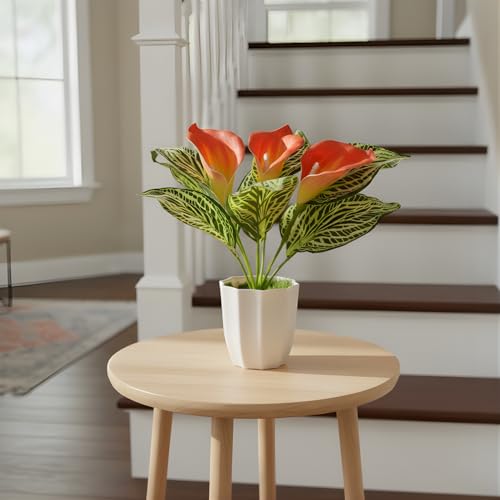 Image of fancymart Artificial Calla Lily Plant with Pot - 30 cm Height Decorative Flower Leaves (Pack of 1) | Realistic Faux Plant for Home & Office Decor | Table, Shelf & Desk Decoration