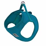 RC Pets Patterned Step in Cirque Harness | Breathable Mesh for Small Dogs | Easy Fit & Washable | All-Day Comfort | Dark Teal, Large
