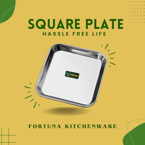 Image of Stainless Steel Plates Set of 6 | Square Plates | Breakfast /Lunch /Dinner Plates Set of 6, Diameter: 8 Inches (Plain) (8 Inches, Solid)