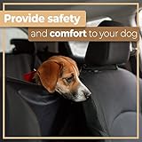 Retoo Hundedecke Auto Rückbank Hund Rücksitz Autodecke Schutzmatte für Hunde Autoschondecke Rücksitzschoner Rückbankschoner Autoschutzdecke Kofferraumschutz Wasserabweisend Pflegeleicht