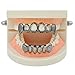 TOPGRILLZ Vampire Teeth Grillz - Grills for Your Teeth, 14K Gold Plated Vampire Fangs Open Face Gold Grillz for Men Women Hip Hop Cosplay Rapper Costume Accessory (Extra 2 Molding Bars) (Black Vampire)
