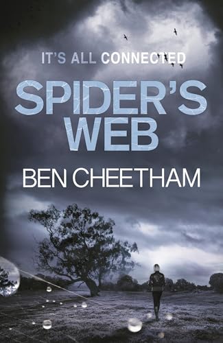 Spider's Web view 2