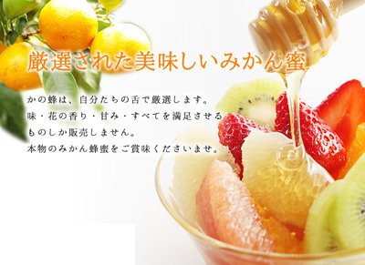 国産みかん蜂蜜＆巣蜜578g 国産みかんはちみつ | 株式会社蜂の音｜ショッピングサイト
