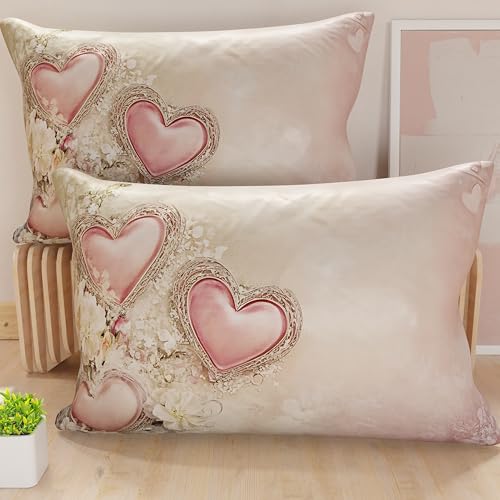 PETTI Artigiani Italiani - Coppia di Federe Cuscino 30x50 cm in Microfibra, Cuscini Arredo Camera da Letto, Divano, Salotto, Set 2 Fodere Copricuscino, Federa Shabby 343, 100% Made in Italy