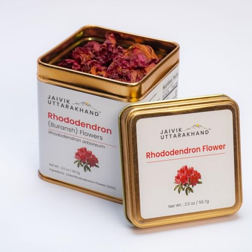 Image of Jaivik Uttarakhand Rhododendron (Buransh) Tea 56.7 g, Dried Loose Leaf Red Flower, Sweet, Pack of 1 Tin Can