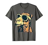 Fun outfits with camels