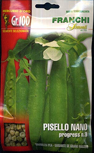 Franchi sementi sementi di qualità di piselli nani, mezza rama, rampicanti in confezioni varie (nano progress nr 9, 100 grammi)