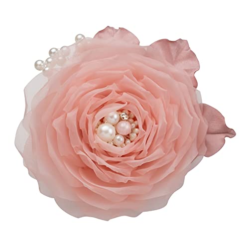 cocomam ӂ胉ĩp[RT[Wixr[sNj  Zj[ w Ǝ  