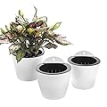 3 Pack Self Watering Wall Hanging Planter Pots Vertical Garden Window Hang Mount Indoor Outdoor Plant Flower Basket for Kitchen Herbs Balcony Railing Shelf Fence Bedroom Trellis Decor Modern White Box