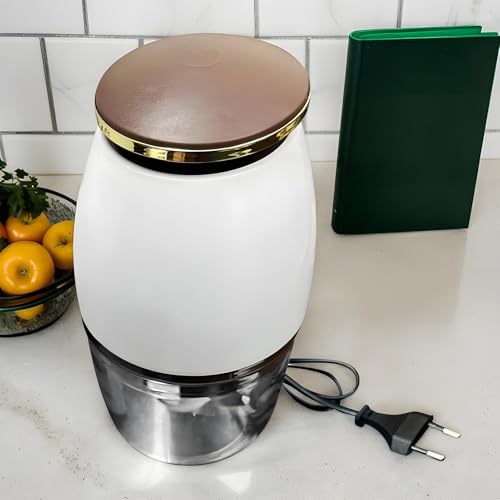 Hachoir à viande mélangeur multifonctionnel compact 700 ml