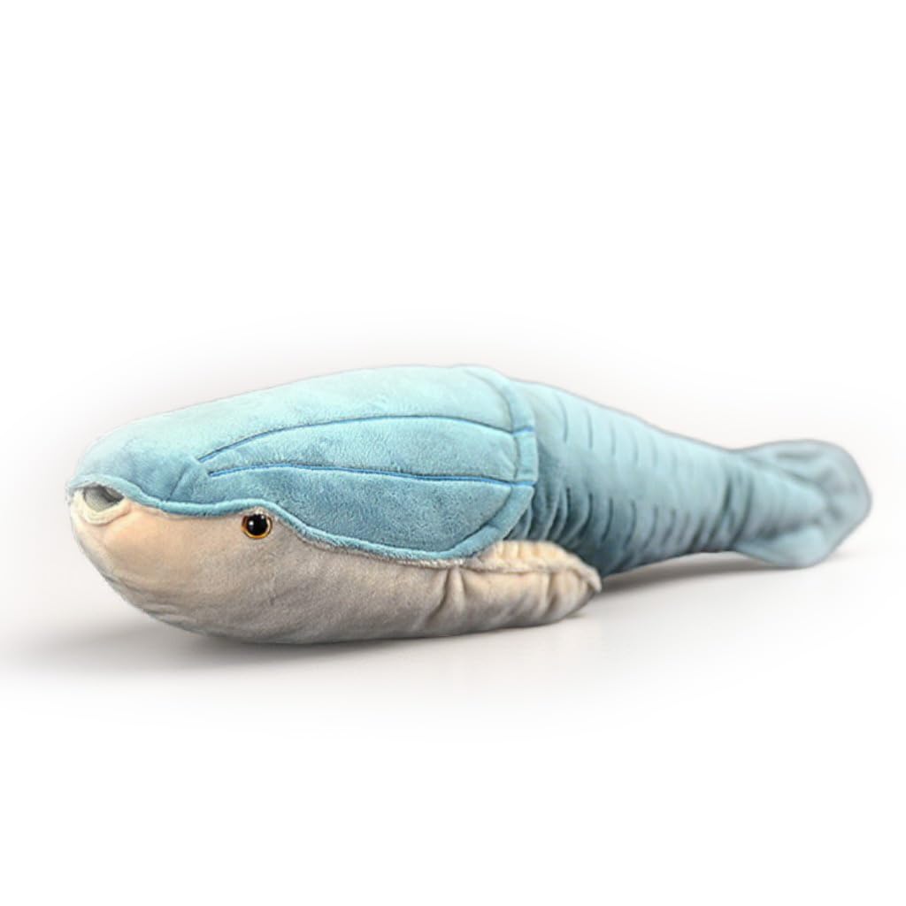 PuffPurrs Lifelike Arandaspis Prehistoric Fish Plush Toy, Realistic Ancient Fish Plush, Collectible Prehistoric Plush Toy, 45CM/17Inch — image 1