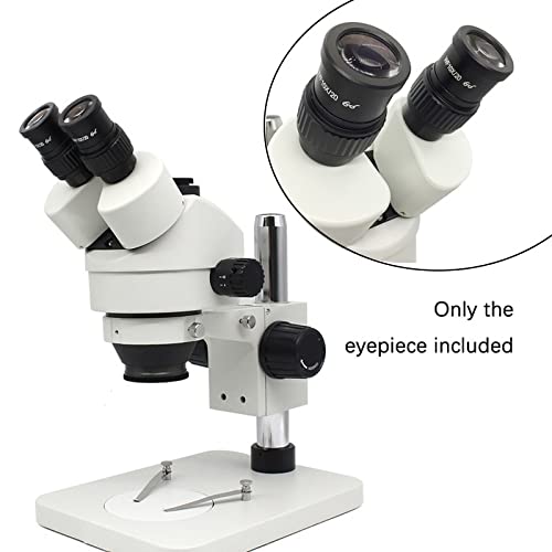 2 Oculari WF20X Per Microscopio Aomekie, Diametro 23,2 Mm &ndash; Accessori Da Laboratorio