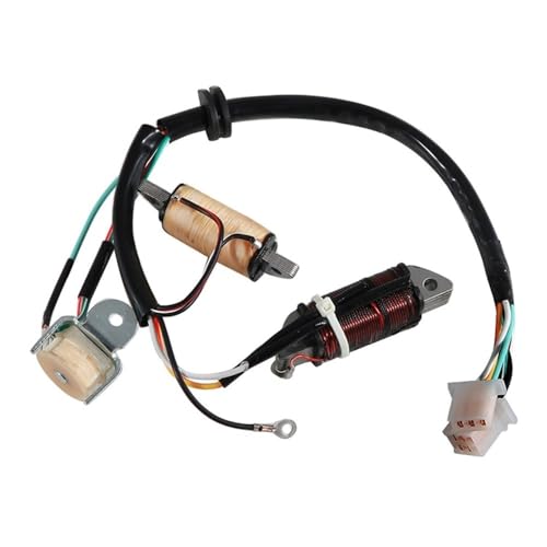Bobine d'allumage de stator 2MK-85560-M0 pour moto T80D T80ED