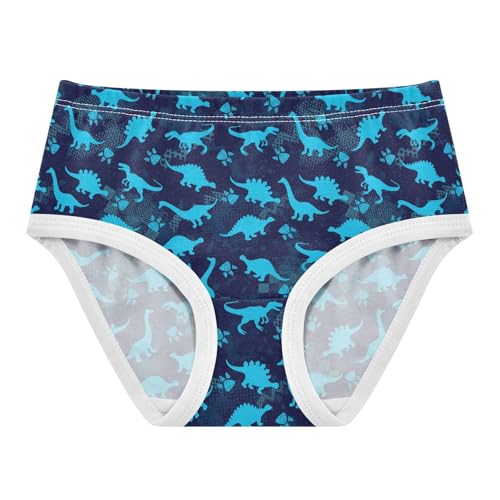 Little Girls' Soft Cotton Underwear Kids Breathable Comfort Dinosaurs Blue Panties Briefs Toddler