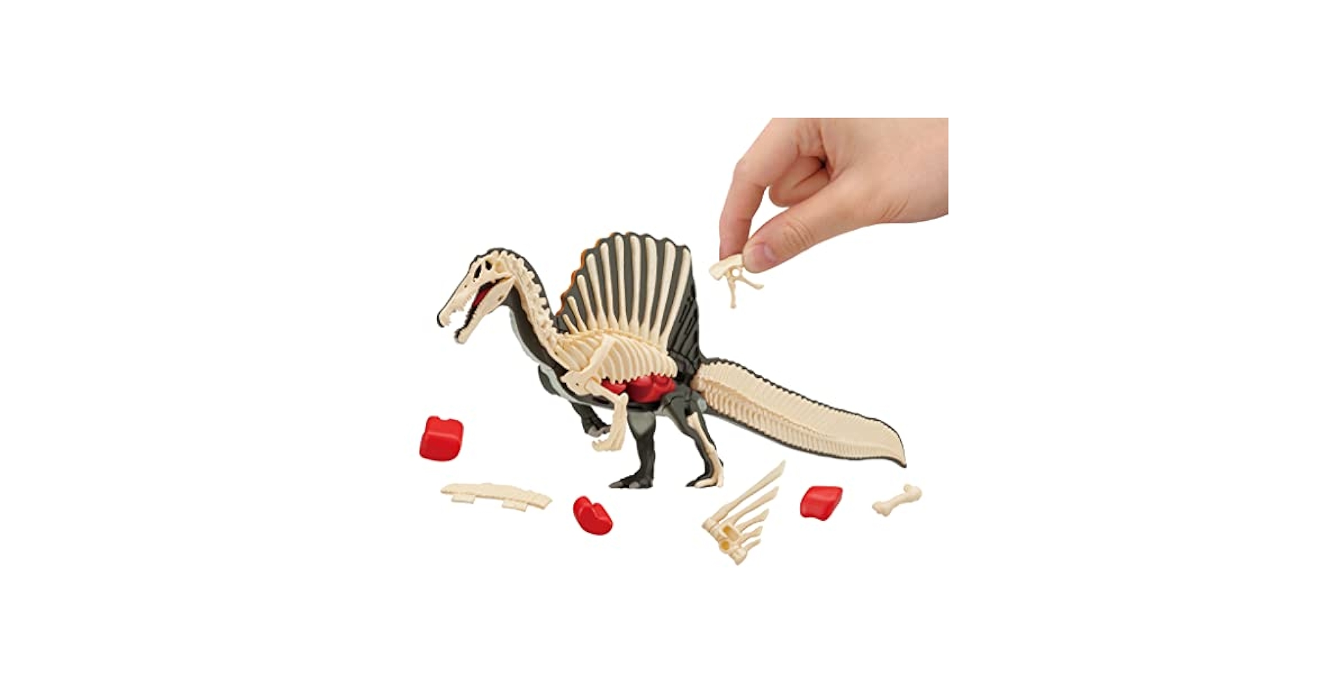 Spiny∧Spikyヒース 4枚 Spiny∧Spikyヒース 4枚最新