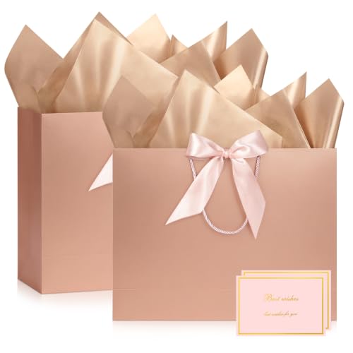 Image of JMANNI Gift Bags with Handles, 11 inch Small Gift Bag for Presents, 2 Pcs Bags with 4 Tissue Paper and 2 Cards for Graduation Baby Shower Wedding Bridal Shower Mother's Day Birthday Party (Rose gold)