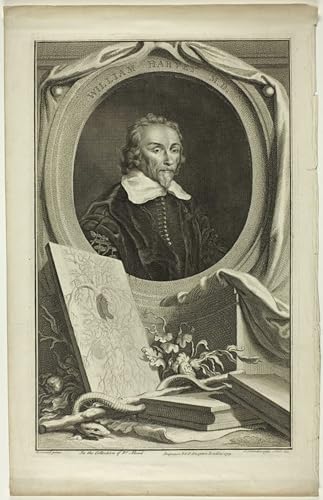 Affiche William Harvey par Jacobus Houbraken impression toile déco salon 60x90cm