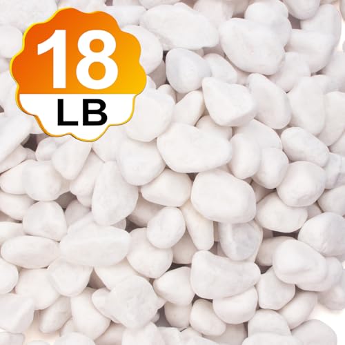 Image of 18 Pounds Decorative Pebbles, White Stones, White River Rock, Natural Aquarium Gravel, Garden Decor Rocks