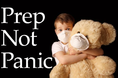 Prep Not Panic: Keys to Surviving the Next Pandemic (English Edition)