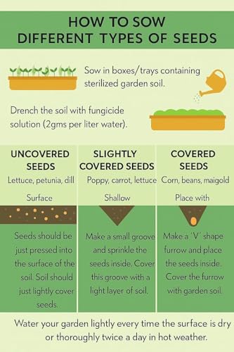 Image of Amazon Brand - All Season Vegetable Seeds Pack | 50 Premium Varieties - 2500+ Seeds | 95% Germination Rate | Non-GMO Home Garden Kit | Organic Heirloom Mix for Terrace, Balcony & Kitchen Gardening