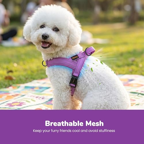 Image of No Pull Dog Harness for Small Dogs, Breathable Mesh Padded, Purple,XS | Quick Fit, Easy On and Off, Lightweight, Reflective Vest Harness for Night Safty, Easy for Walking and Training, Chest 15-18 inch