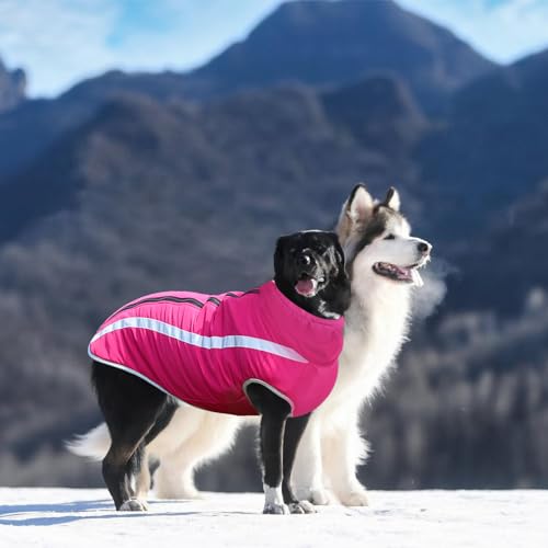 Hunde Winterjacke, Warme Hundejacke Mantel für Mittlere und Große Hunde Winter Wasserdicht Hundekleidung Reflektierende Fleece Welpen Outdoor-Mäntel für Labrador, Bulldogge, Samoye (4XL/53cm, Rosa)