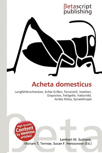 Acheta domesticus: Langfühlerschrecken, Echte Grillen, Terraristik, Insekten, Ovipositor, Feldgrille, Halsschild, Arides Klima, Synanthropie