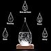 Eon Concepts Storm Glass Weather Predictor - Barometer Bottle with Stunning & Colorful LED Wood Base | Decorative Centerpiece for Home & Office | Perfect Birthday Friendship Novelty Unique Gift Idea