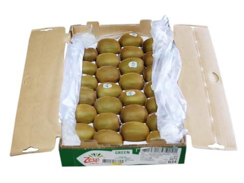 j[W[hY LECt[c [Xv O[ ʃTCY@25`33ʓ@3kg ij O[LEC