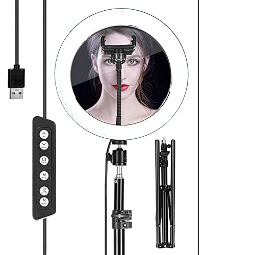 Kosmetikspiegel mit Beleuchtung Runder Kosmetikspiegel mit LED-Licht, Bluetooth-Steuerung, Einstellbarer Beleuchtung-USB-Aufladung Cover