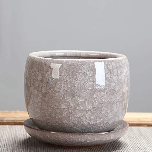 Pot en céramique pour cuisine et salon : sublimez vos mini cactus