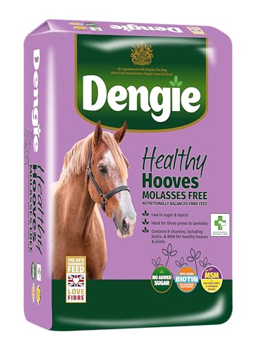 Dengie Healthy Hooves Molasses Free 20kg Balanced Horse Feed - Low Sugar Complete Horse Food with Biotin & MSM for Hoof Health. Suitable for Ponies Prone to Laminitis.