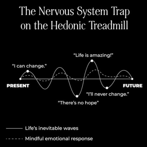 Codependent to Inner Peace: Heal Enmeshment by Releasing Contracts