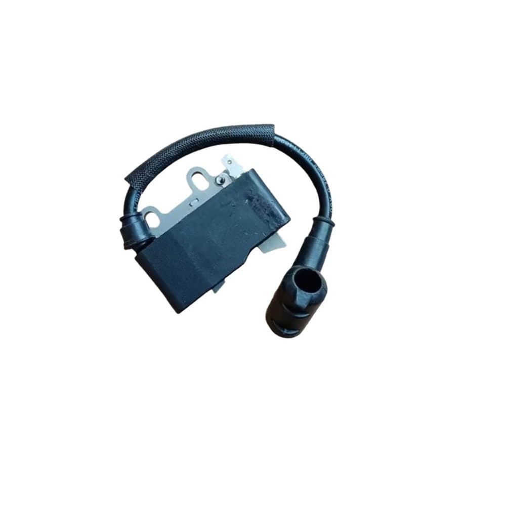 Bobine d'allumage ES-250 PB-250 PB-252 remplace OEM A411000500