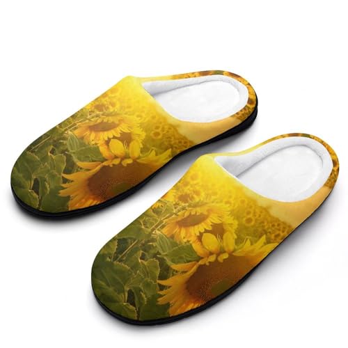 [ZKCASA] Xbp Ђ܂ i [V[Y   qp h  g 􂦂 ~ jp I[V[Yp 7-8i39-40)