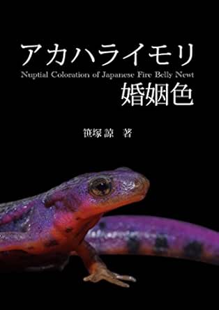 アカハライモリ 婚姻色 笹塚 諒 工学 Kindleストア Amazon