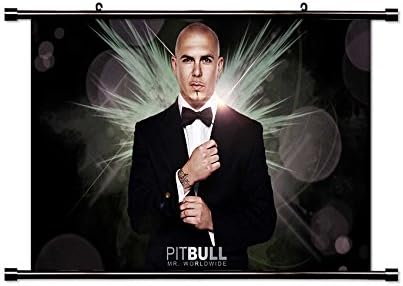 Pitbull Singer Wall Scroll Poster (32x20) Inches