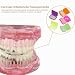 Imagen de 10 Estuches Dental Cera para Aparatos Ortopédicos