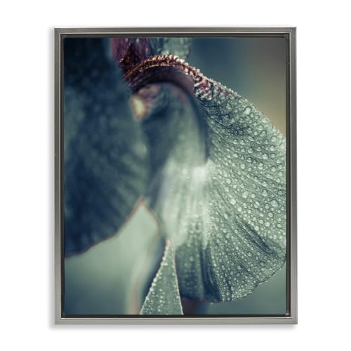 Close Up Iris Petal Botanical Study, 24 x 30 Inch Canvas in Floater Frame