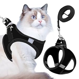 Buraq Pets Step-in Cat Harness with Leash for Outdoor, Walking, Escape Proof, Air Mesh Fabric, Easy Control, Adjustable & Durable Cat Leash with Harness for Small & Medium Cats