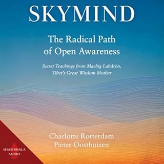 Skymind cover art
