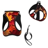 Groamaup Fall Leaves Reflective Dog Harness with Leash, Autumn Soft Vest Harness for Small Medium Large Dog Puppy Pets (Small Size)