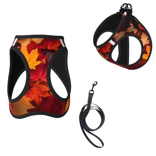 Groamaup Fall Leaves Reflective Dog Harness with Leash, Autumn Soft Vest Harness for Small Medium Large Dog Puppy Pets (Small Size)