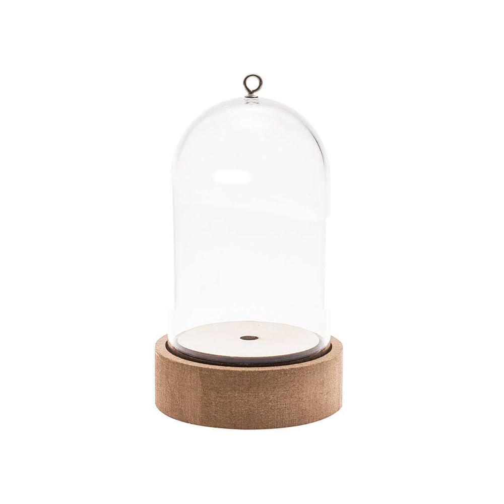 Plastic Bell Jar Dome on Wooden Stand | 11cm Tall | For Arts, Crafts & Display