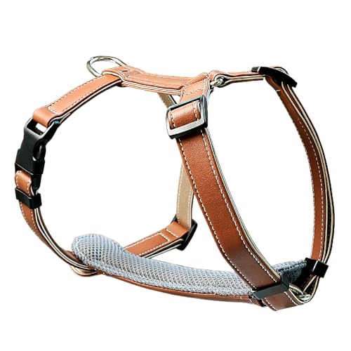 Beanspet  n[lX U[ \tgpbh ɂ \ y 4TCY 4F ^ ^ Up  }CNt@Co[f (uE, M)