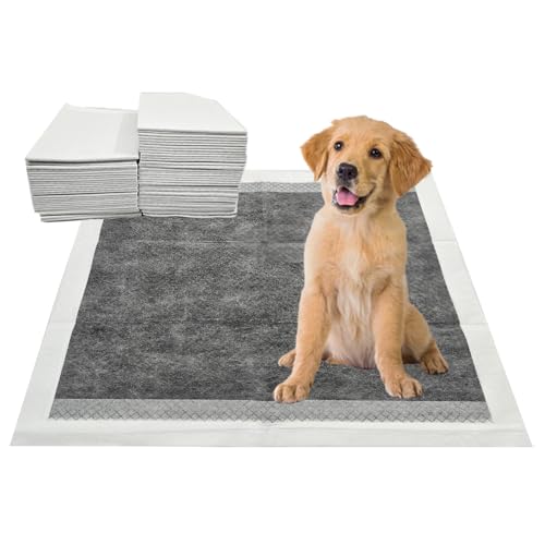 Image of Puppy Pee Pads, 22 x 22 Inch 100 Count, Charcoal Dog Wee Wee Training Pads, Leak-Proof Quick Absorb 6-Layer Design for Pet Potty Training, Ideal for Small Puppies, Cats, Rabbits, Guinea Pigs