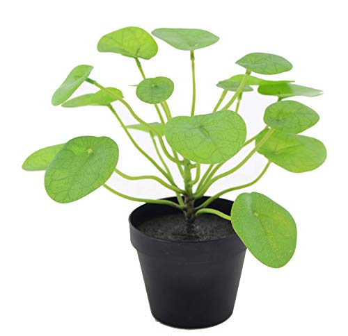 LuckyGreenery Künstliche Pflanzen Pilea, realistische künstliche Pflanzen mit Töpfen für Haus und Büro, Dekoration, 27,9 cm (H) Cover